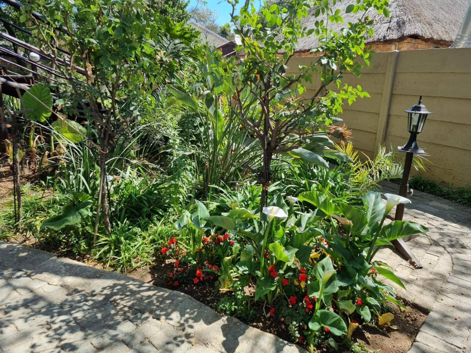 Airport Inn Bed And Breakfast Kempton Park Extérieur photo