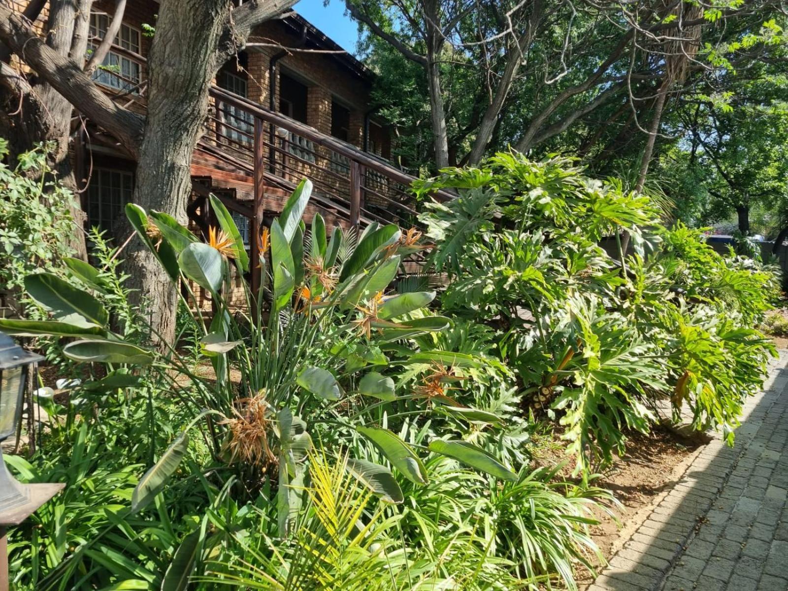 Airport Inn Bed And Breakfast Kempton Park Extérieur photo